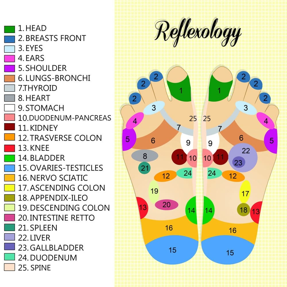 7 Essential Reflexology Charts For Beginners