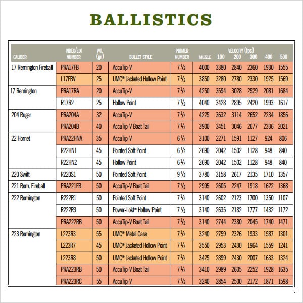 5 Essential Points On 223 Remington Ballistic Chart