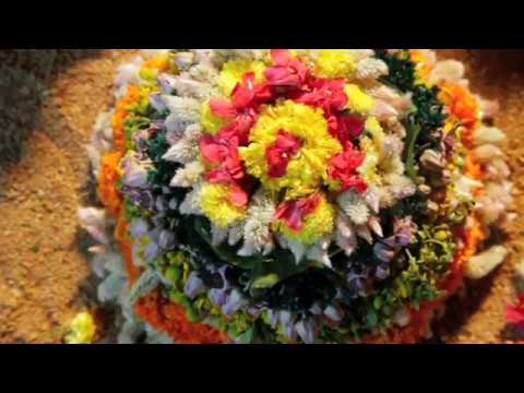 Bathukamma a Floral Festival – 2017